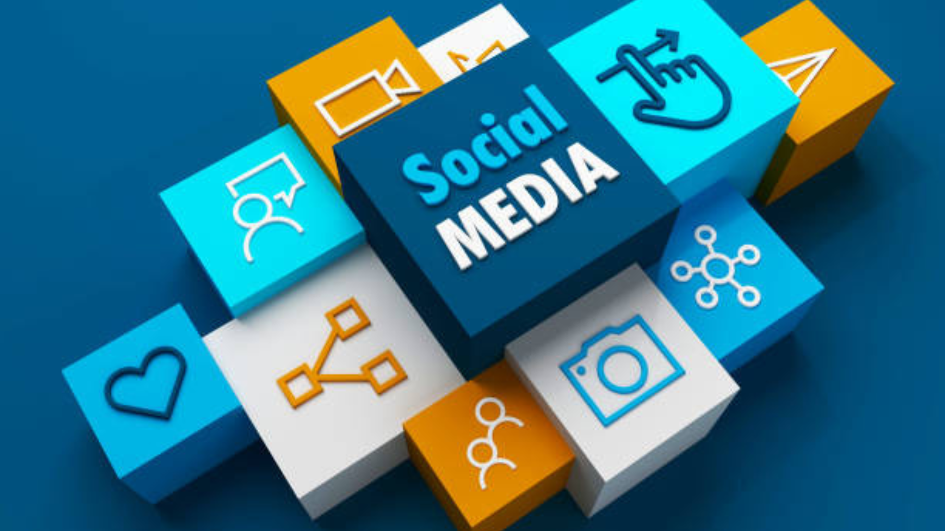 Elevating Brands with Social Media Expertise